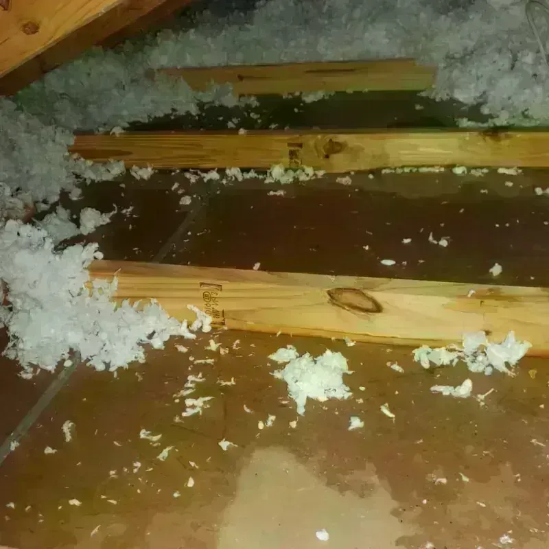 Attic Water Damage in Dawson County, GA