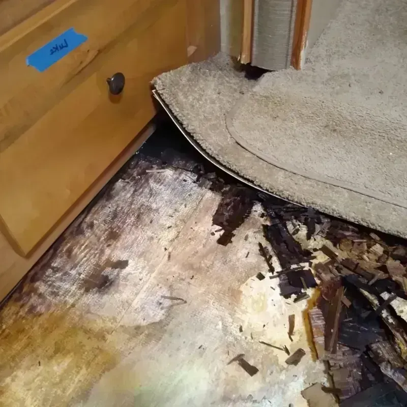 Best Wood Floor Water Damage Service in Dawson County, GA